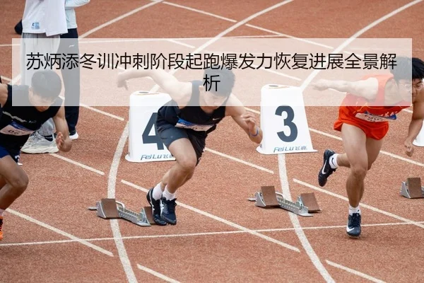 苏炳添冬训冲刺阶段起跑爆发力恢复进展全景解析